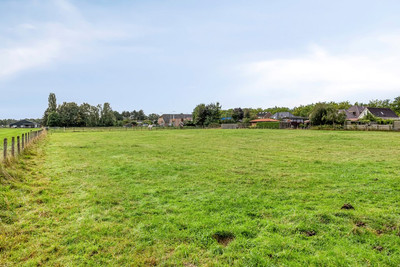 Schoolstraat 146