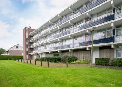 Stadhouders. 36