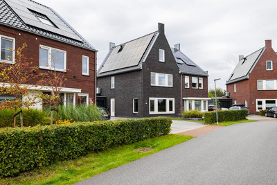 Vederkruid 20