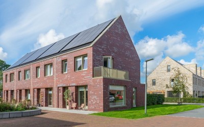 Pijlkruid 15