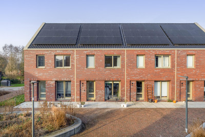 Pijlkruid 19