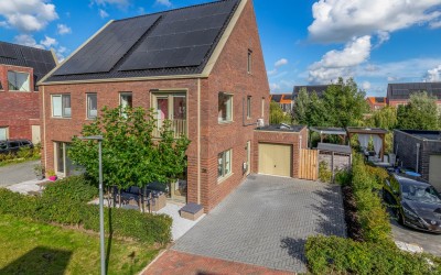 Pijlkruid 20