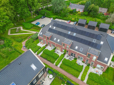 Pijlkruid 37