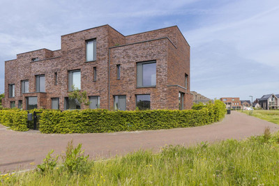 Blaarkop 1