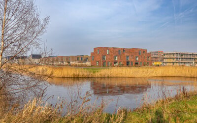 Blaarkop 3