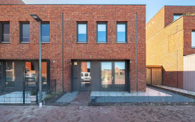 Holsteiner 10