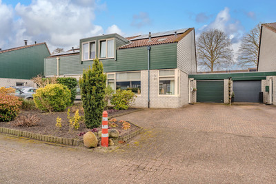 Rensel 67