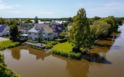 Knobbelzwaan 2