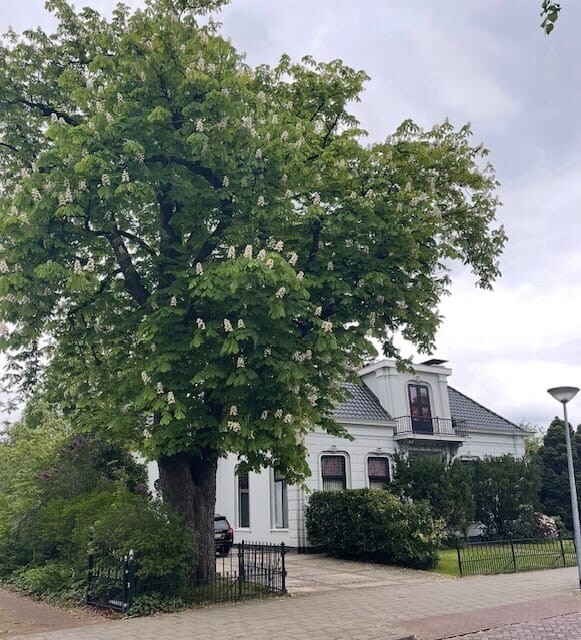 Vrijstaande woning te koop: Garstestraat 5, Winschoten
