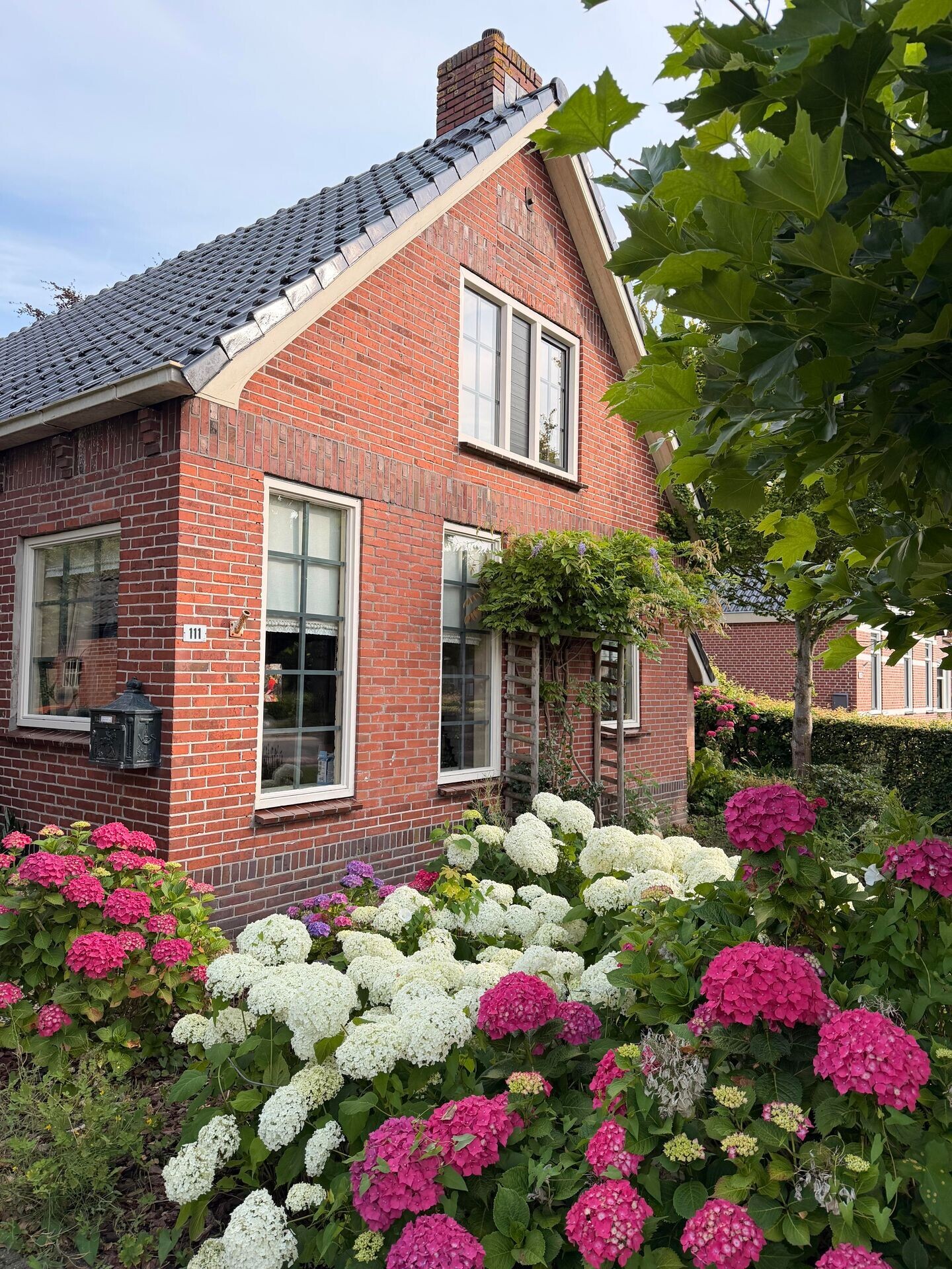 Vrijstaande woning te koop: Hoofdweg 111, Westerlee