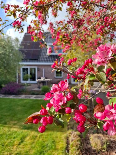 Pelmolenlaan 27