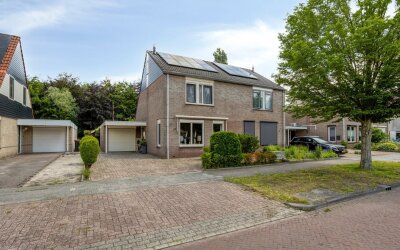Dotterbloem 37