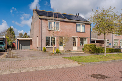 Dotterbloem 10