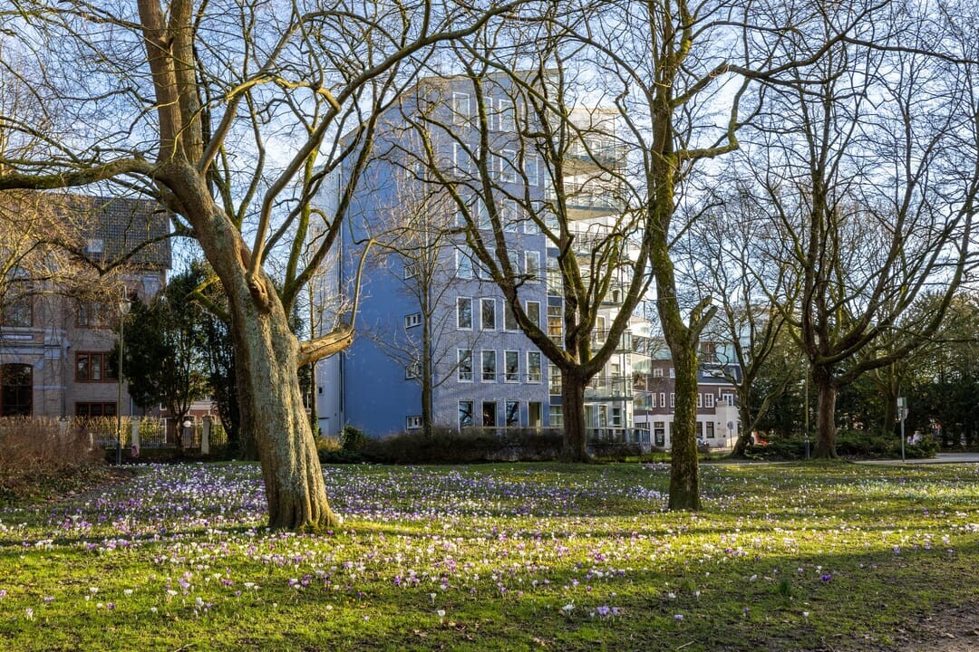 Appartement te koop: Noorderbinnensingel 11-1, Groningen