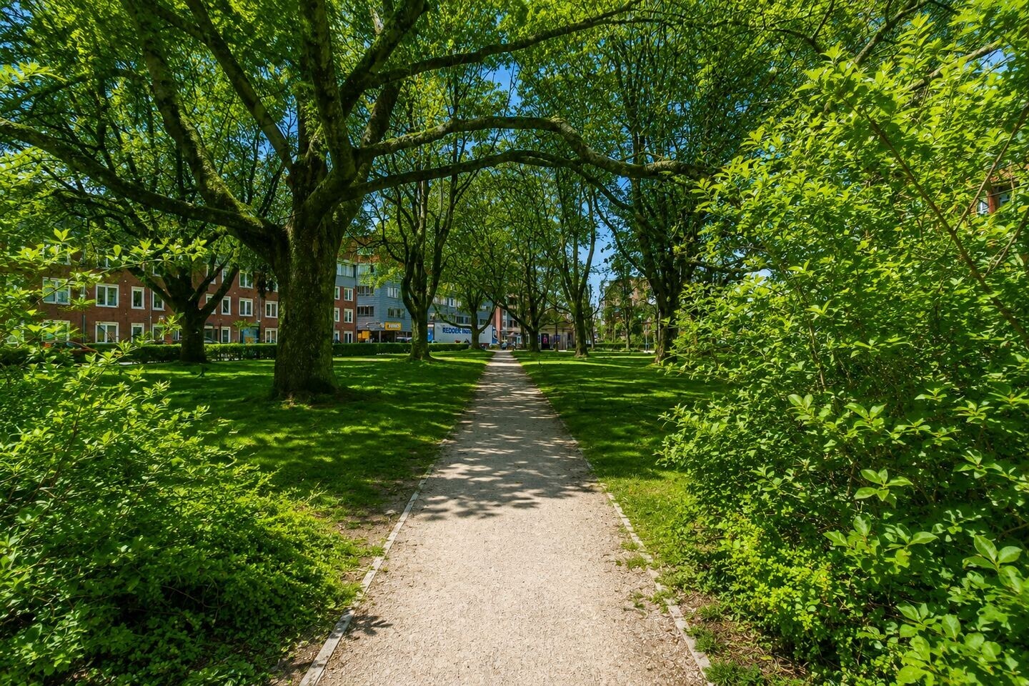 Appartement te koop: Linnaeusplein 40, Groningen