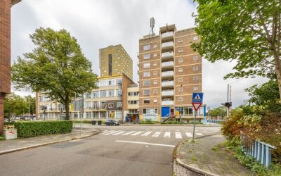 Zaagmulders. 544