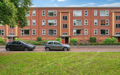 Pioenstraat 44
