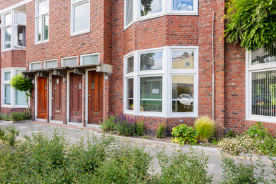 Petrus Drie. 36