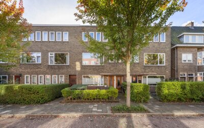 Van Hamelstraat 33