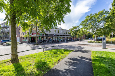 Frans van Mierisstraat 4