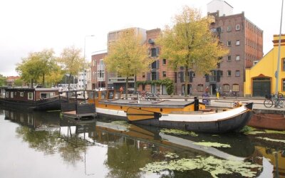 Hoendiep 1001