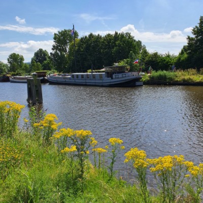 Hoornsedijk 1002