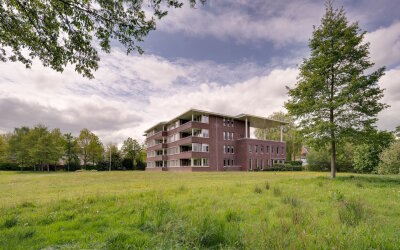 Zwaan 14