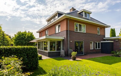 Aalscholver 20