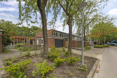 Meerpaal 162
