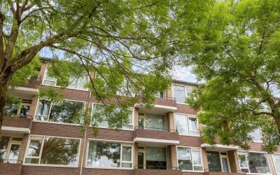 Duindoornstraat 33