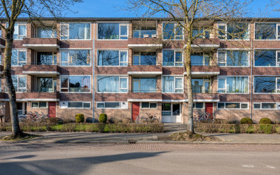 Duindoornstraat 53