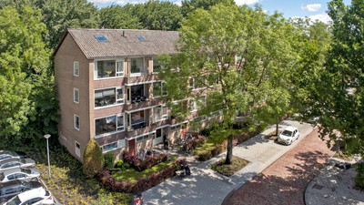 Duindoornstraat 81
