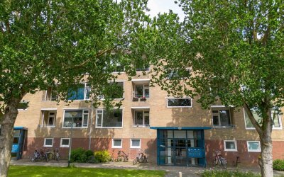 Dierenriemstraat 31