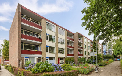 Plutolaan 341