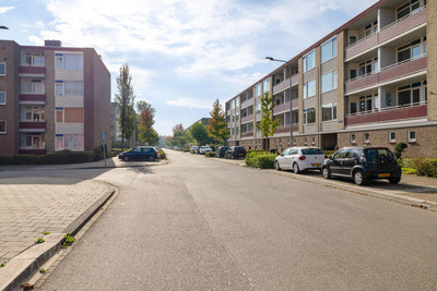 Plutolaan 146