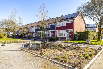 Briljantstraat 213