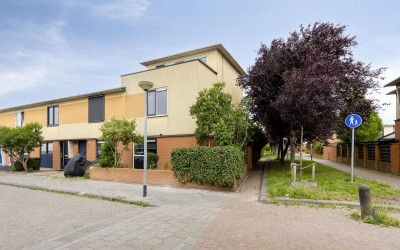 Jacob van Hattumstraat 31