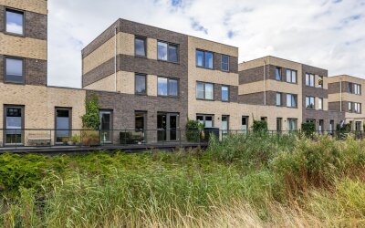 Drewerd 21