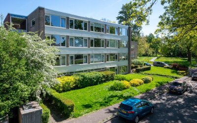 Hildebrandl. 13-A