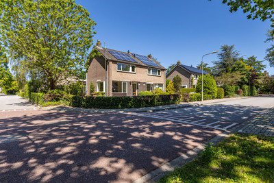 Ridderspoor. 44