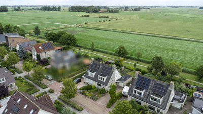 Buizerd 13