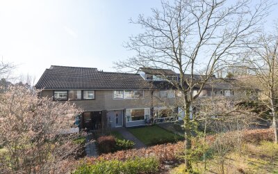 Cort van de. 12