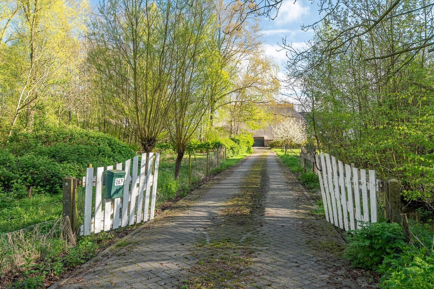 Vrijstaande woning te koop: Hoofdstraat 267, Oostwold