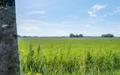 Sietse Veldstraweg 50
