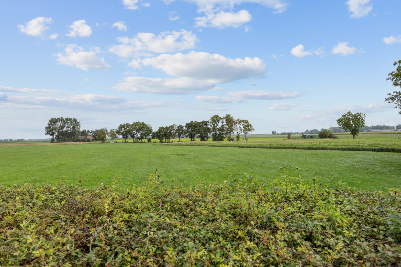 Vrijstaande woning te koop: Slagtersrijge 13, Ezinge