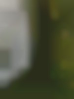 Molenkade 15