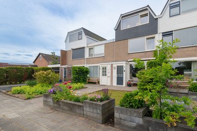 Violenstraat 11